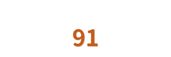 91Logo